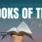 How Many Books Are In The Bible