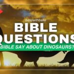 What Does The Bible Say About Dinosaurs