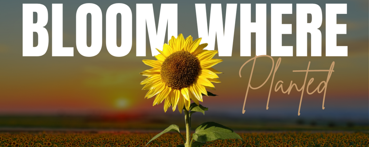 Bible Verses About Growing Where God Has Planted You