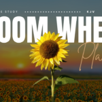 Bible Verses About Growing Where God Has Planted You