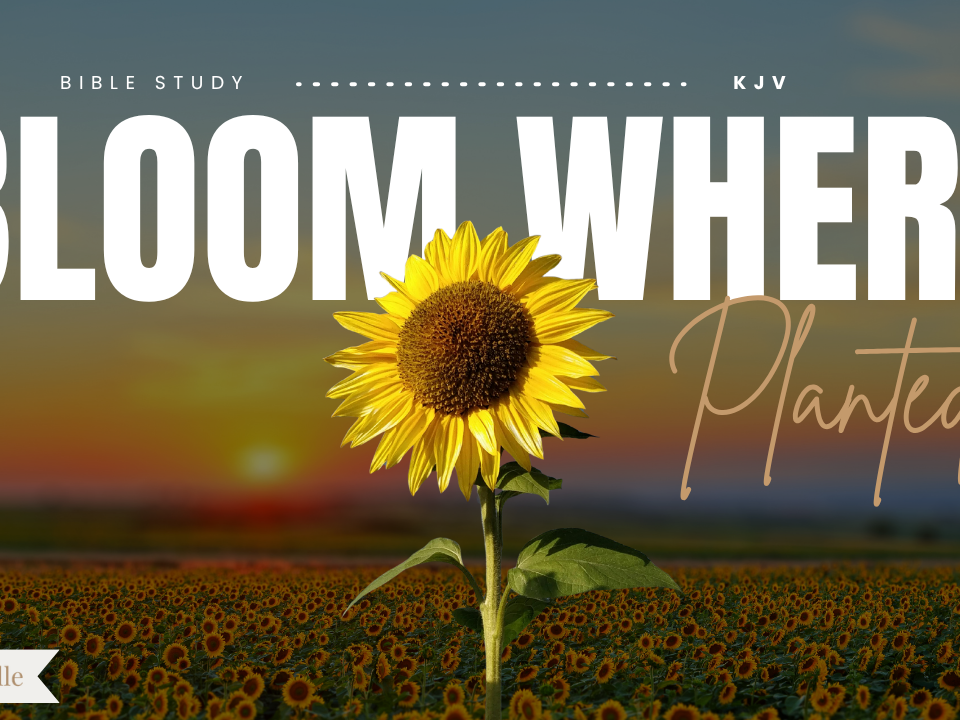 Bible Verses About Growing Where God Has Planted You