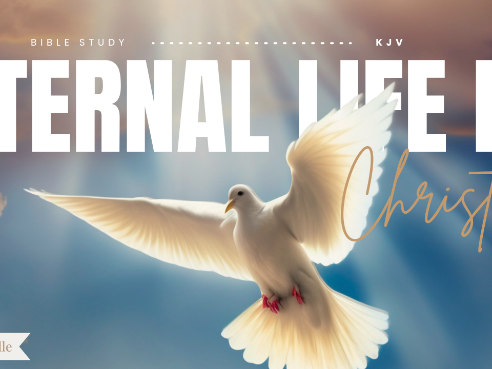 Bible Verses About Eternal Life