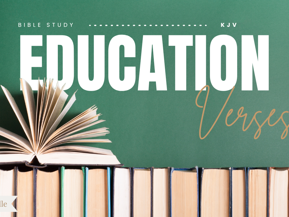 Bible Verses About Education