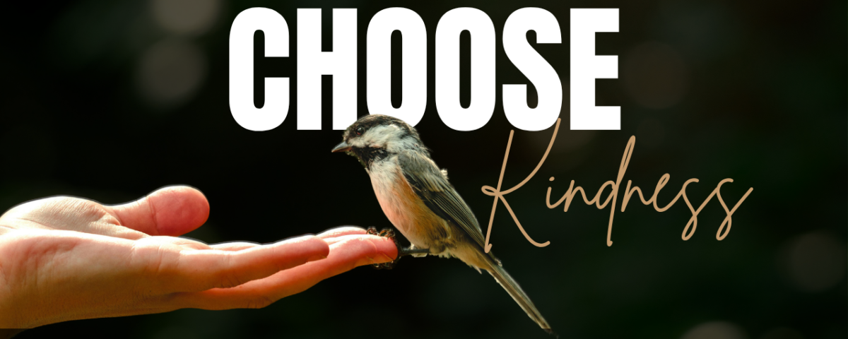 Bible Verses About Kindness