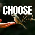 Bible Verses About Kindness