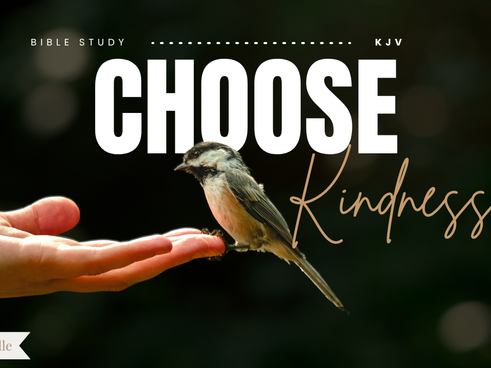 Bible Verses About Kindness