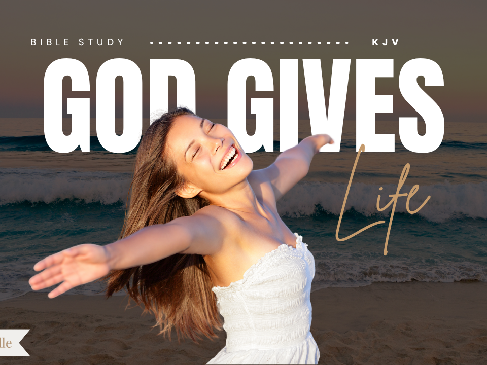 Bible Verses About Life