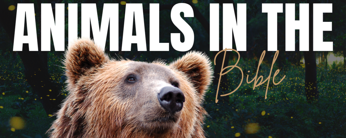 Bible Verses About Animals