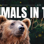 Bible Verses About Animals