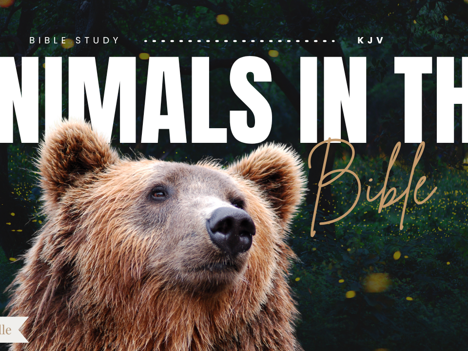 Bible Verses About Animals