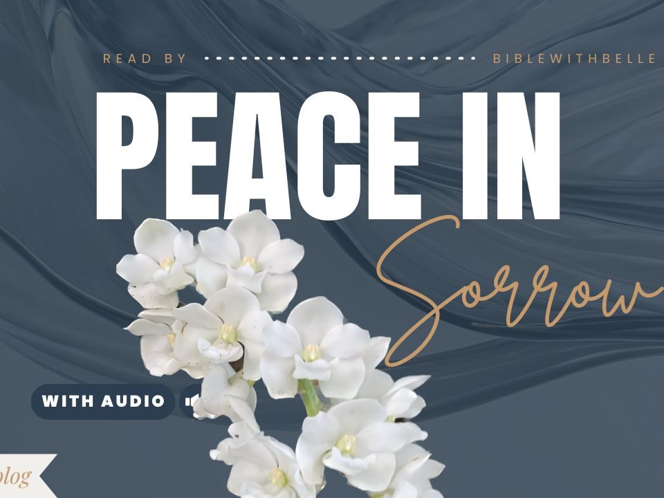 Bible Verses For A Funeral