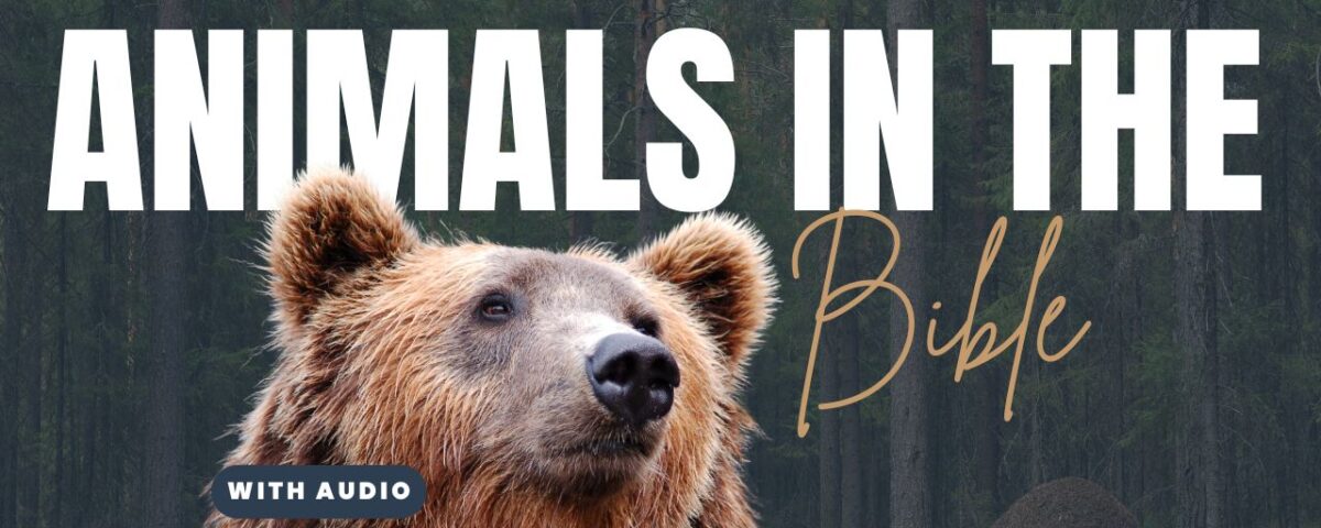 Bible Verses About Animals