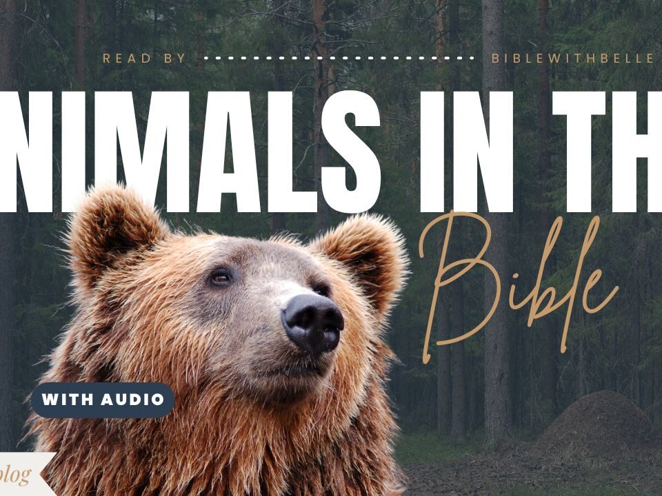 Bible Verses About Animals