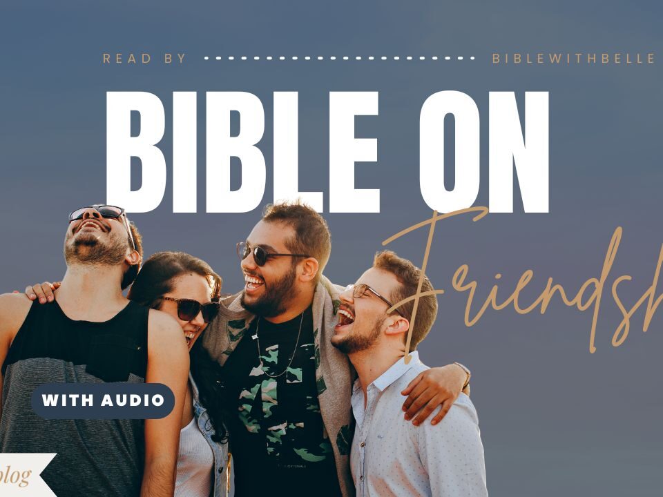 Bible Verses About Friendship
