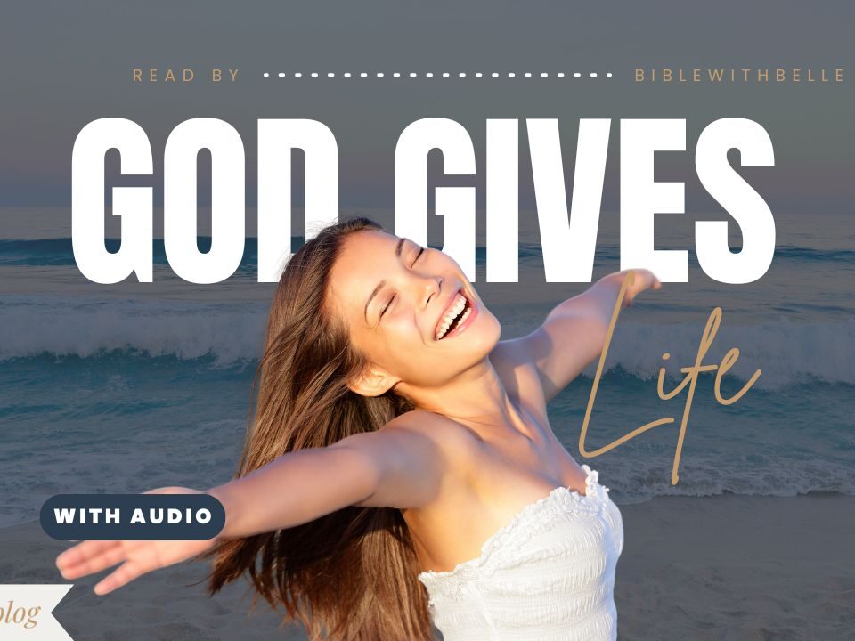 Bible Verses About Life