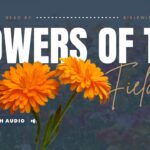 Bible Verses About Flowers