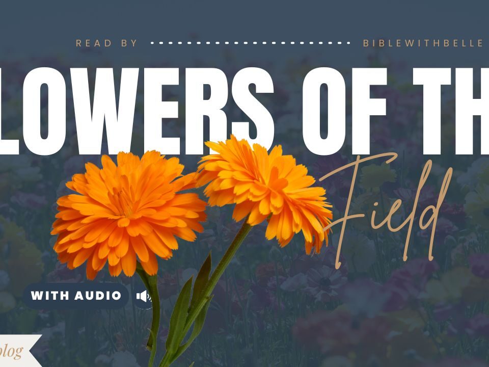 Bible Verses About Flowers