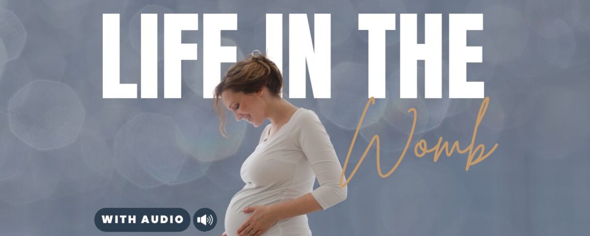 Bible Verses About Abortion