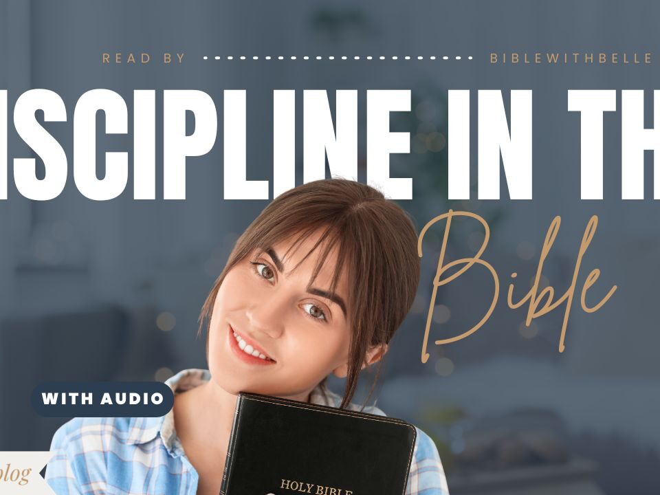 Bible Verses About Discipline