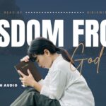 Bible Verses About Education