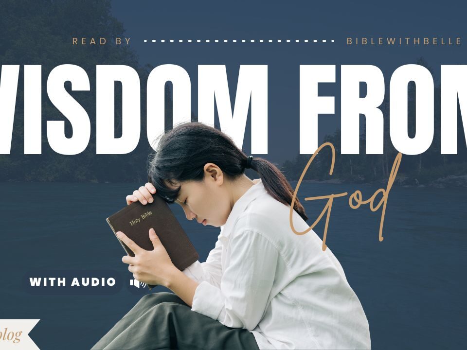 Bible Verses About Education