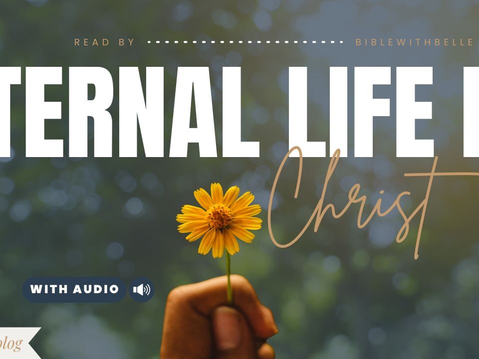 Bible Verses About Eternal Life