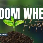 Bible Verses About Growing Where God Has Planted You