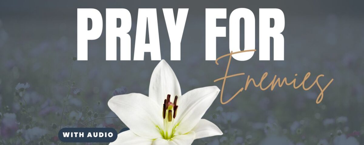 Bible Verses About Responding With Kindness To Enemies