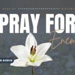 Bible Verses About Responding With Kindness To Enemies