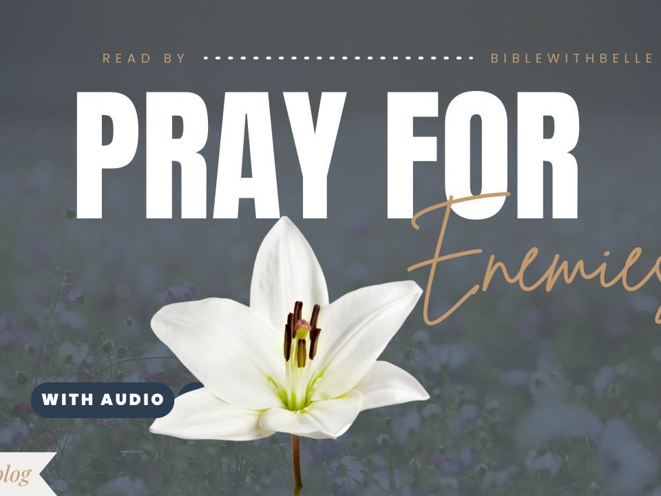 Bible Verses About Responding With Kindness To Enemies