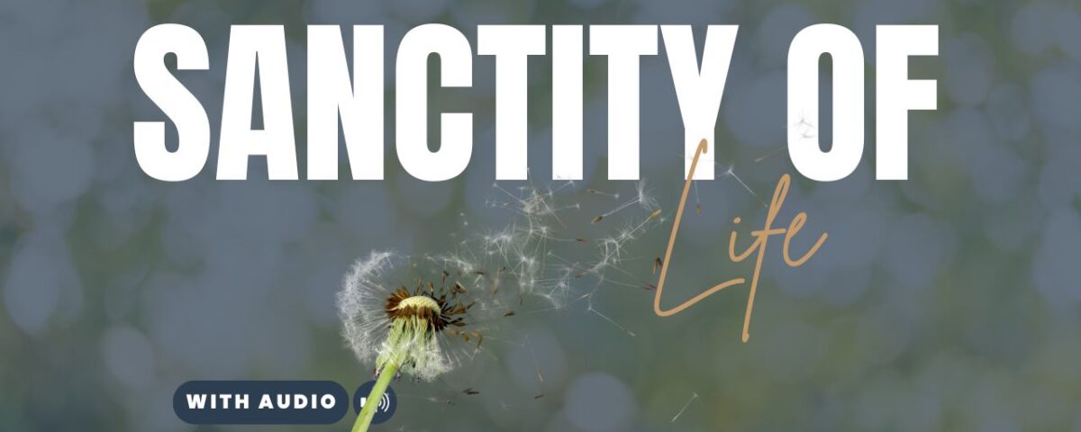 Bible Verses About the Sanctity of Life
