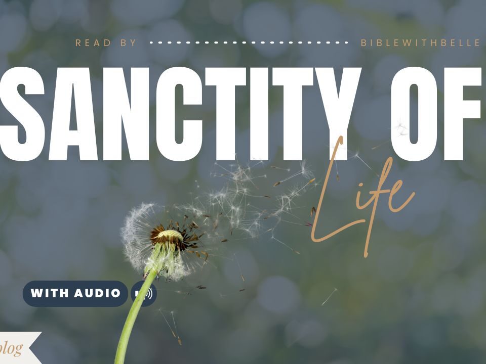 Bible Verses About the Sanctity of Life