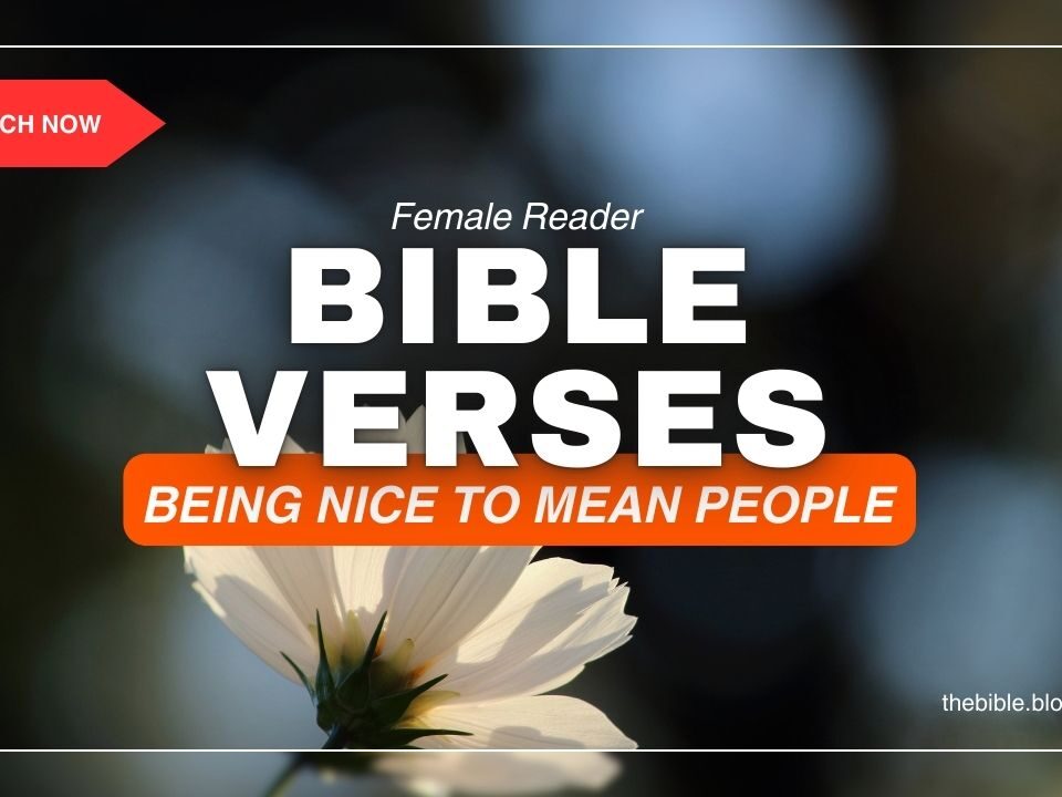 Bible Verses About Being Nice To Those Who Are Mean