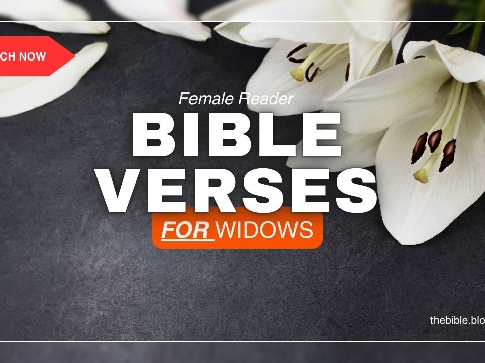 Comforting Bible Verses For A Widow - Timely Heavenly Peace