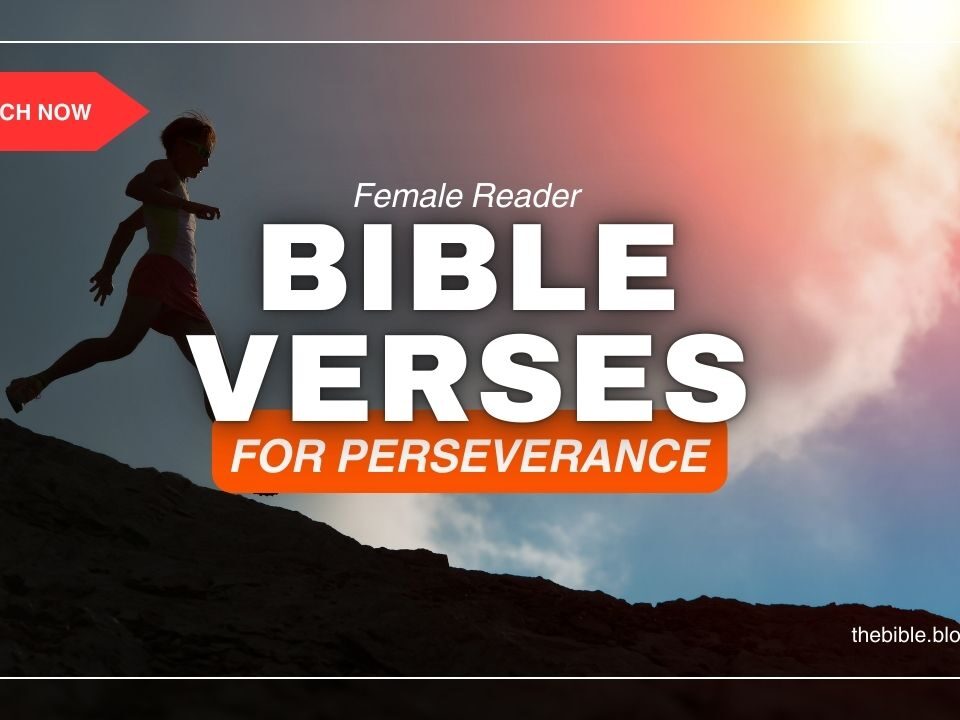 Bible Verses For Perseverance
