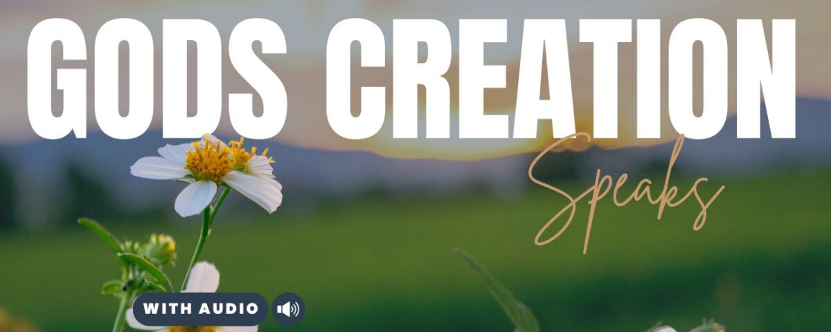 Bible Verses about Nature