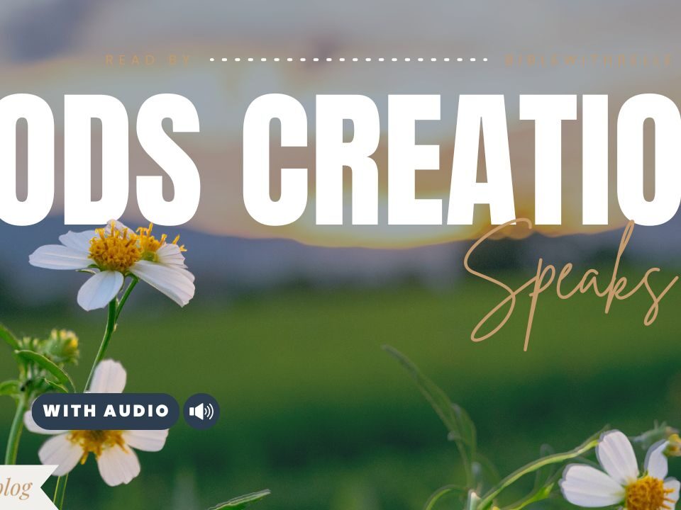 Bible Verses about Nature