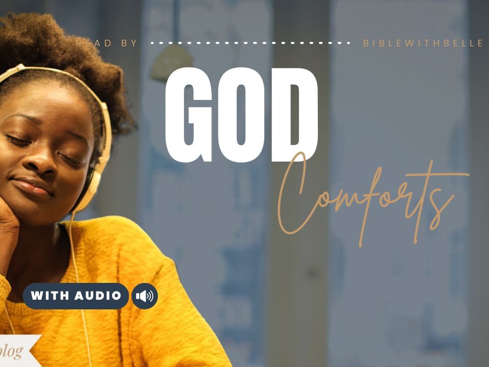 Bible Verses About Comfort