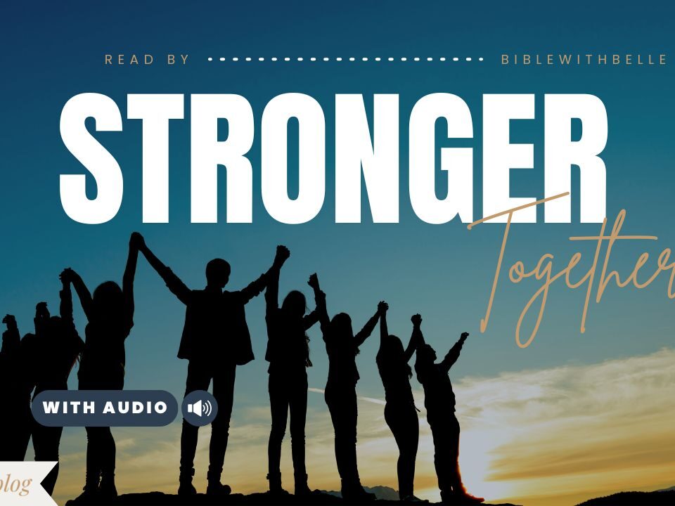 Bible Verse About 3 Cords