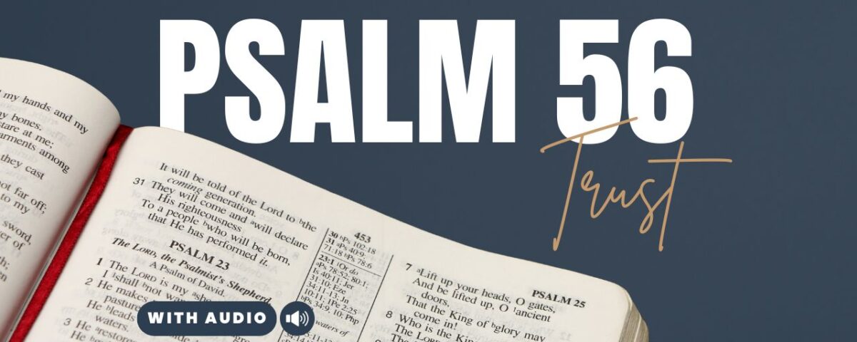 Bible Verses About 56