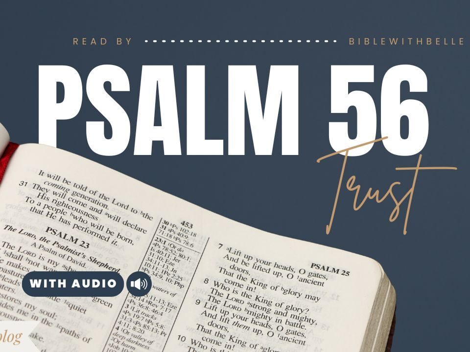 Bible Verses About 56