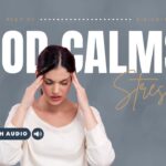 Bible Verses About Stress