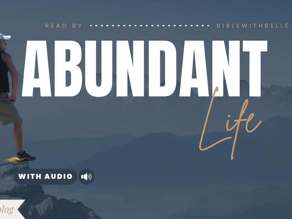 John Bible Verses About Life