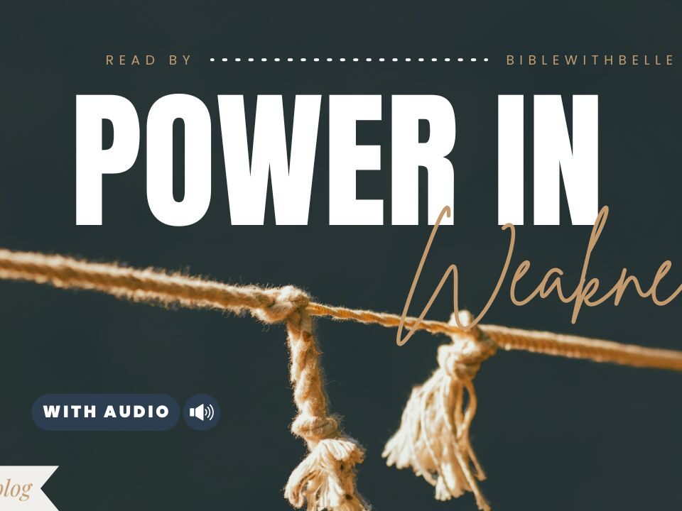 Verses In The Bible About Strength