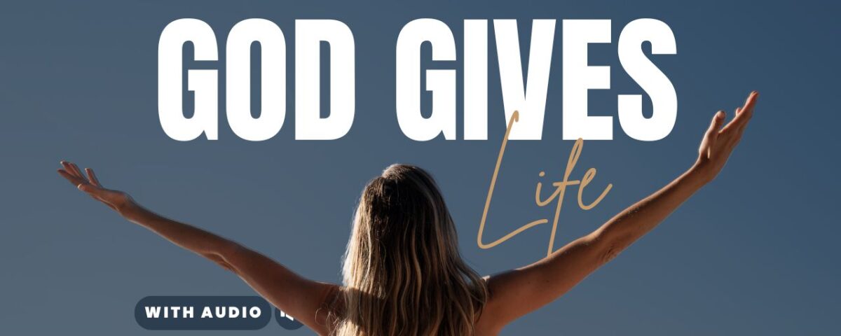 Matthew Bible Verses About Life