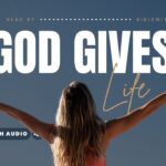 Matthew Bible Verses About Life