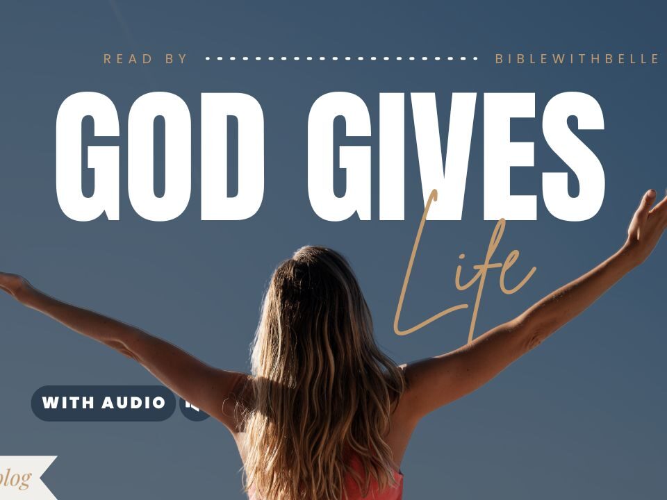 Matthew Bible Verses About Life