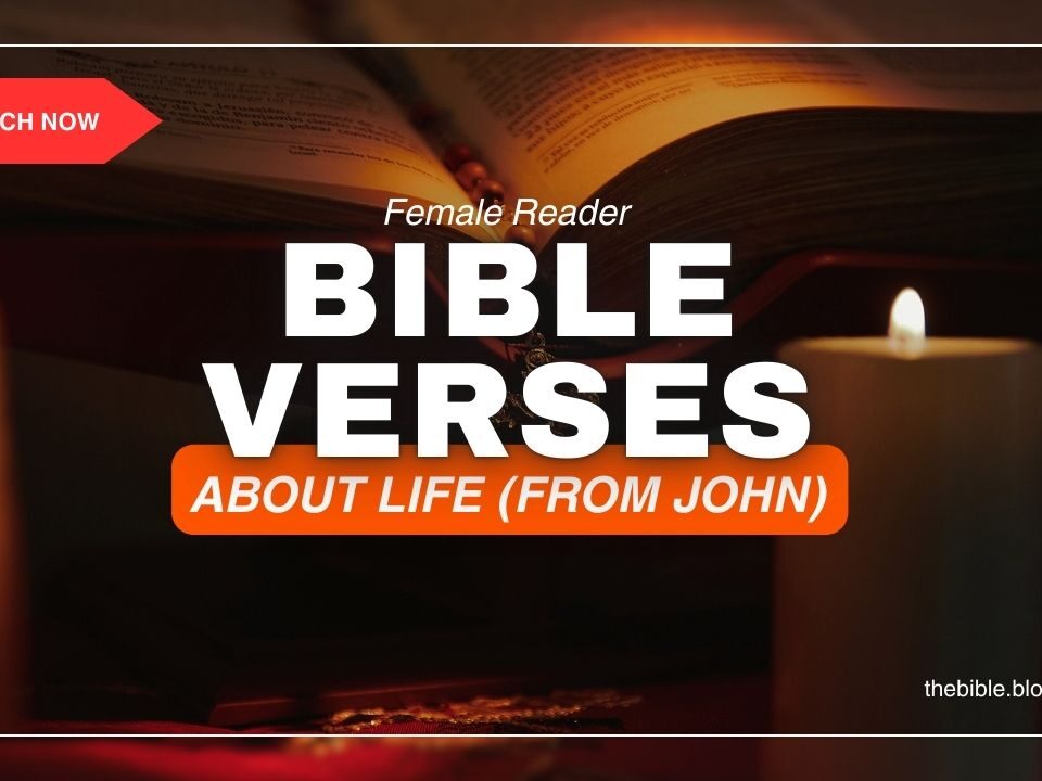 John Bible Verses About Life – Powerful Eternal Truth