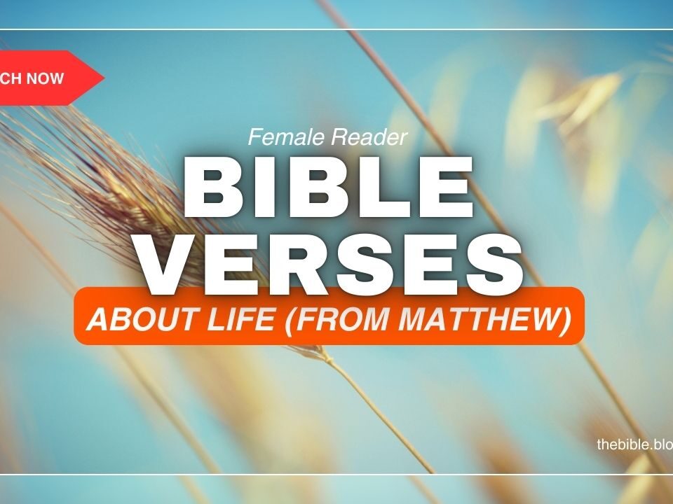 Matthew Bible Verses About Life – Powerful Truths