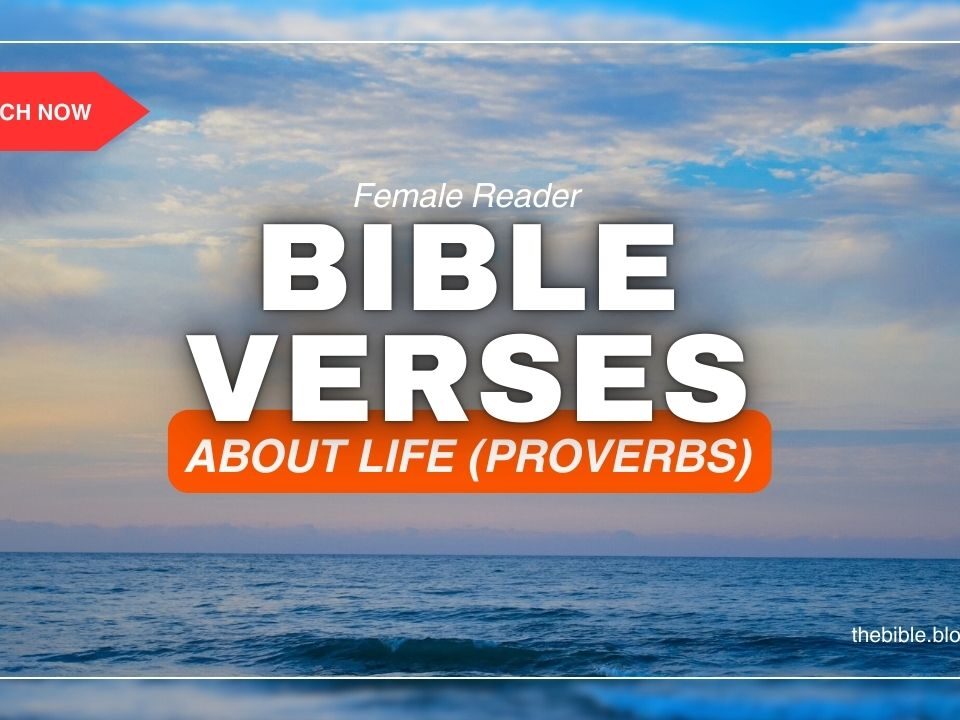 Proverbs Bible Verses About Life – Timeless Wisdom